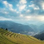 Shocking! The Secret of C++ Line Breaks: Are endl and n Really Different?!