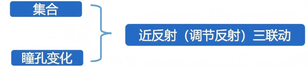 The Relationship Between Accommodation and Convergence: CA/C and AC/A and Their Examination Methods