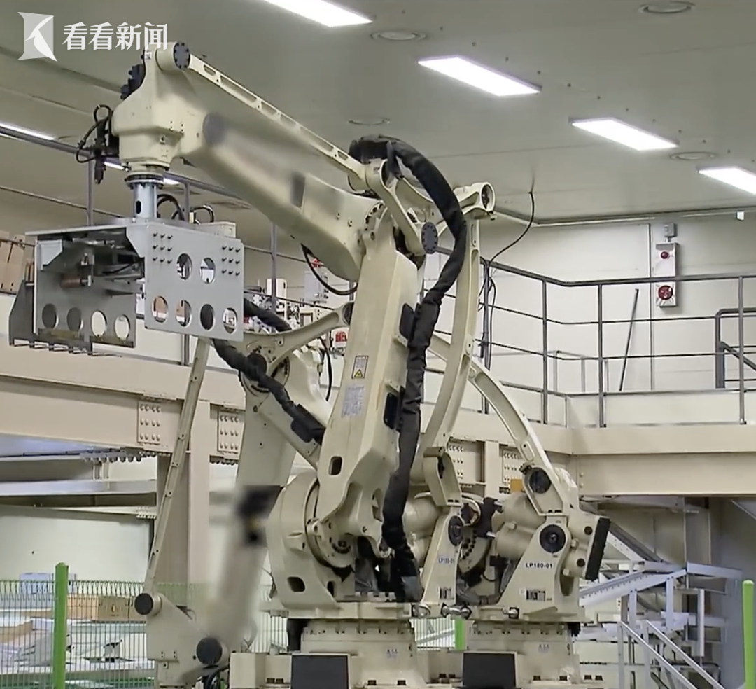 Robot 'Kills' Man? Inspection Personnel Mistaken for a Box of Bell Peppers, Placed on Conveyor Belt...