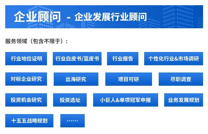 2025 Market Outlook for China's MCU Industry