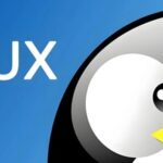 Performance Optimization in Linux: A Detailed Explanation of the iostat Command