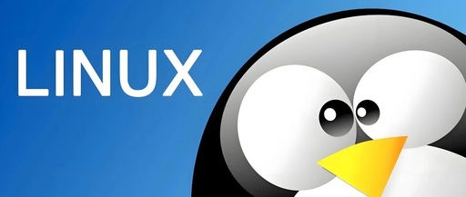 Performance Optimization in Linux: A Detailed Explanation of the iostat Command