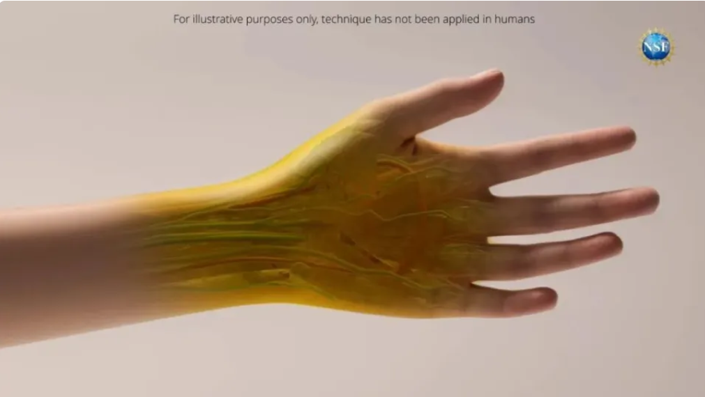 Optical Biosensors: From Fingerprint Recognition to Electronic Skin