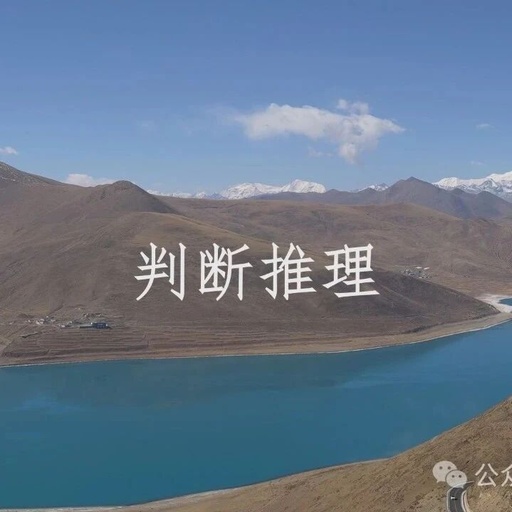 Focused Training Directions and Specific Answering Techniques for the Judgment and Reasoning Module