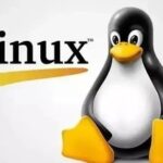 Analysis of Packet Loss Issues in Linux Server Network Interfaces - Final Part