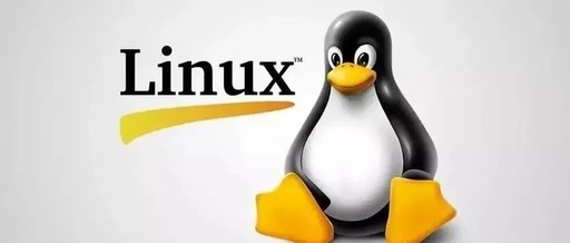 Analysis of Packet Loss Issues in Linux Server Network Interfaces - Final Part