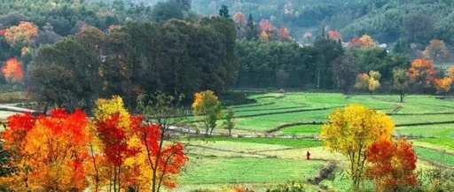 Standard Management of GDB Libraries (Sharing Some GDB Management and Processing Tools)