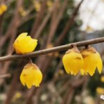 3D Printing of Circuit Boards