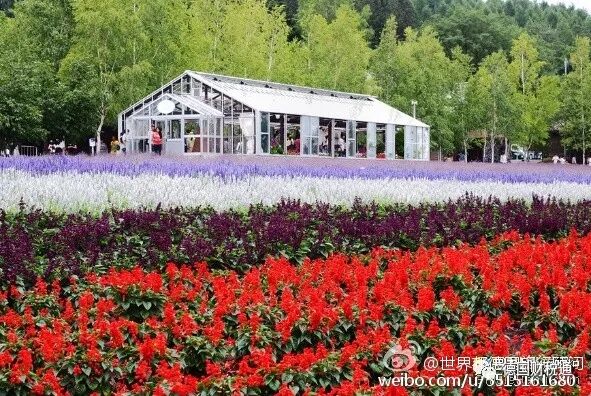 Overview of the Development of the German Chip Industry (Part 1)