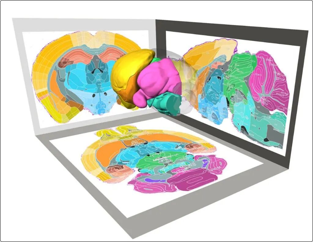 Tech Weekly | The First Chip-Level Post-Quantum Cryptography Card in China; Major Breakthrough in Thermal Radiation Metamaterials: AI Aids in Mass Production of Material Design