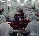 Application Case of FATEK PLC in the Steamed Bun Forming Production Line of the Food Processing Industry