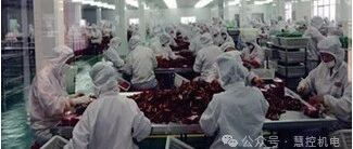 Application Case of FATEK PLC in the Steamed Bun Forming Production Line of the Food Processing Industry