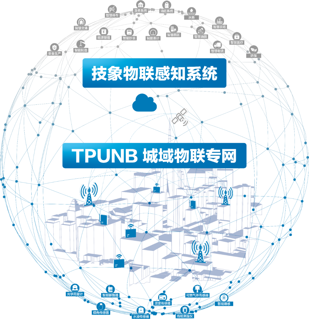 The Rise of Domestic Forces in the Internet of Things