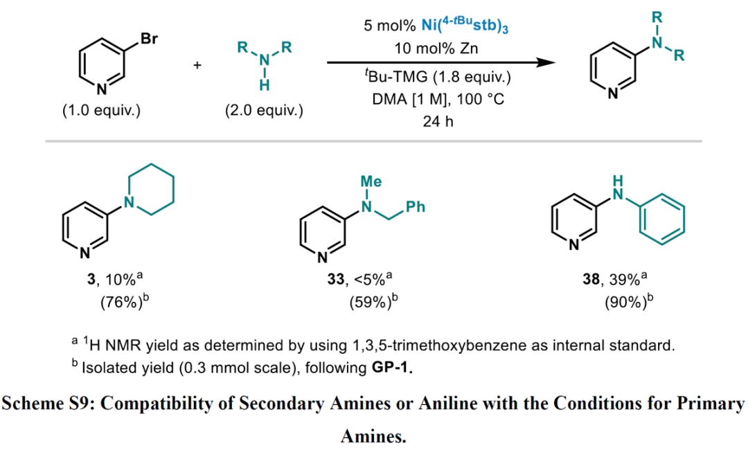 C-N Coupling of Brominated Heteroaromatic Compounds Catalyzed by Ni