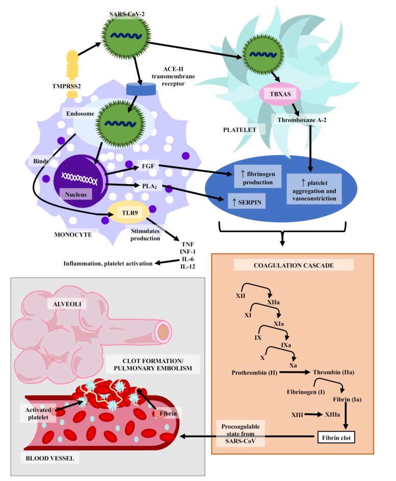 Professor Zhang Ling: Advances and Breakthroughs in Severe Blood Purification Technology