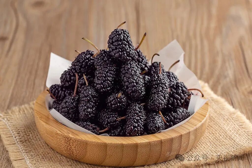 The Benefits of Mulberries: Vitamin C Content Nearly Four Times That of Blueberries!