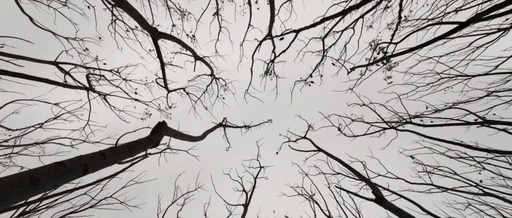 Integrating the pstree Tool into OpenWrt