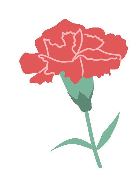 Complete OTA Project for Renesas A4T1 (Without Data Flash Version)