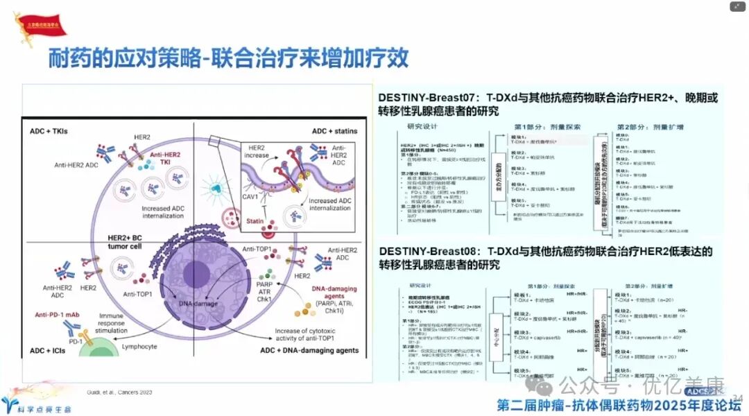 Exploring Solutions to ADC Drug Resistance