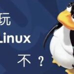 Basic Linux Commands | The grep Command - Your Text Search Master