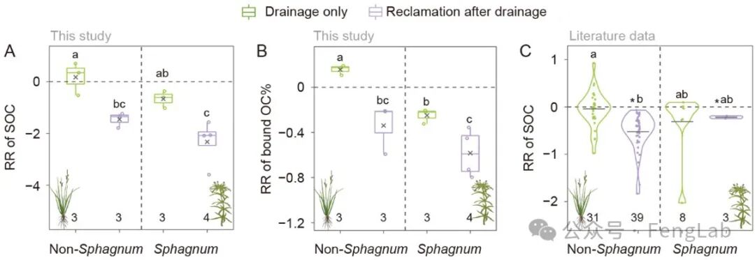 Research Progress | The Research Team of Editor Feng Xiaojun Reveals the Response of Metal-Bound Organic Carbon to Drainage: Sphagnum vs. Non-Sphagnum Wetlands
