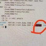 Resolving Shared File Issues in VirtualBox with Embedded Linux Systems