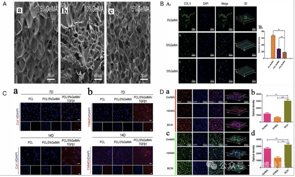 Innovative Solutions for Intervertebral Disc Degeneration: Breakthroughs in 3D Bioprinting by a South Korean Team