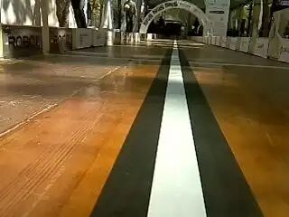 Design and Implementation of an Autonomous Racing Robot Based on Arduino, Raspberry Pi, and Pi Camera: Including Labeling Steps and Technical Details