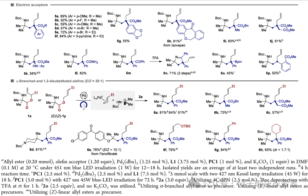 Photoinduced Decarboxylative Allylation: Dual Atom Substitution for sp3 Fragment Skeleton Editing
