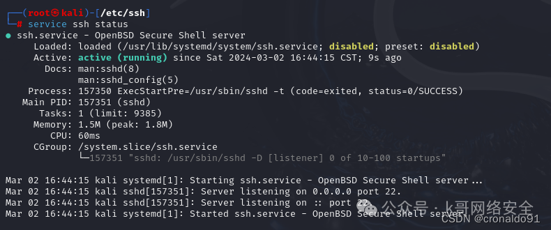 Linux System Administration: Installing Kali Linux on a Virtual Machine
