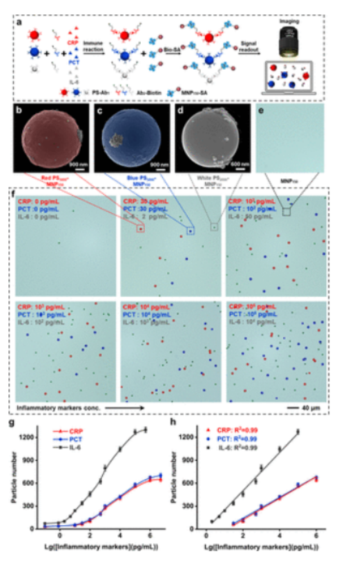 AI-Mediated Encoding-Decoding for Multiplexed Microfluidic Digital Immunoassay Based on Computer Vision