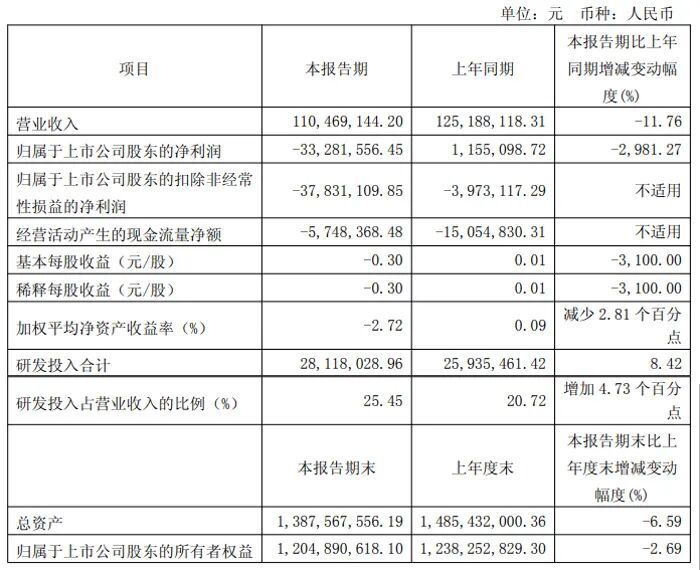 Summary of Q1 2025 Financial Reports from 20 Display Chip Companies Including Weir Shares, Allwinner Technology, and Rockchip