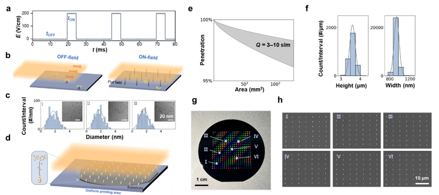 3D Printing Revolutionizes Chip 'Nano Vessels'