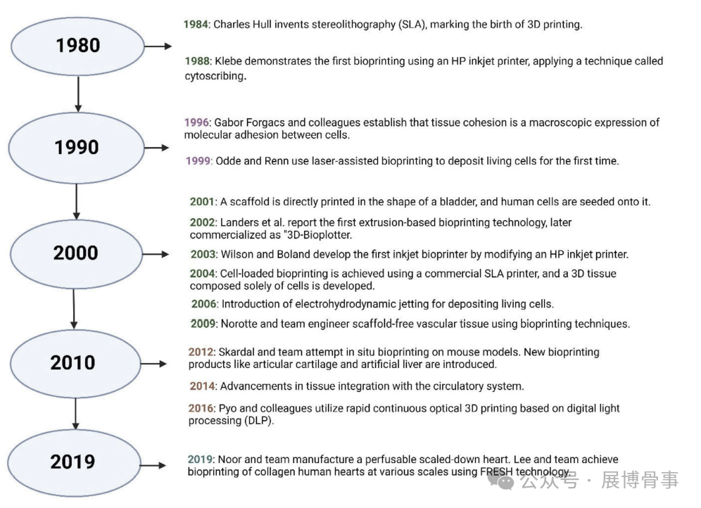 Innovative Solutions for Intervertebral Disc Degeneration: Breakthroughs in 3D Bioprinting by a South Korean Team