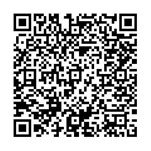 Optimizing Cross-Architecture Programming Model Adaptation in SIMD-to-RVV Dynamic Binary Translation