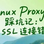 Linux Proxy Pitfalls: SSL Connection Errors with dnf install? Let proxychains-ng Save You!