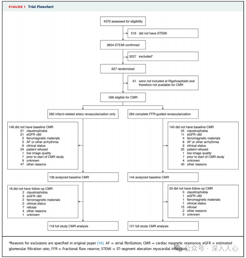 DANAMI-3-PRIMULTI Substudy—Cardiac Magnetic Resonance Confirms the Impact on Cardiac Structure and Function