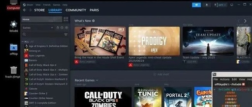 Breakthrough for RISC-V Platform: Successful Operation of Steam and AAA Games