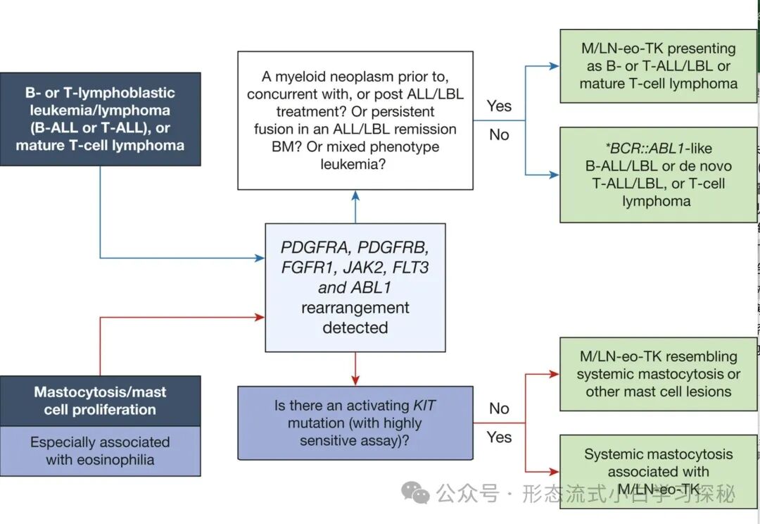 Chapter 6 of ICC: Myeloid/Lymphoid Neoplasms with Eosinophilia and Tyrosine Kinase Gene Fusions (M/LN-eo-TK)