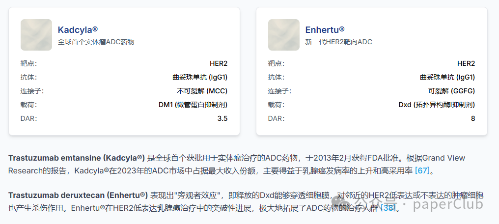 Antibody-Drug Conjugates (ADCs): A Comprehensive Analysis from Basics to Frontiers