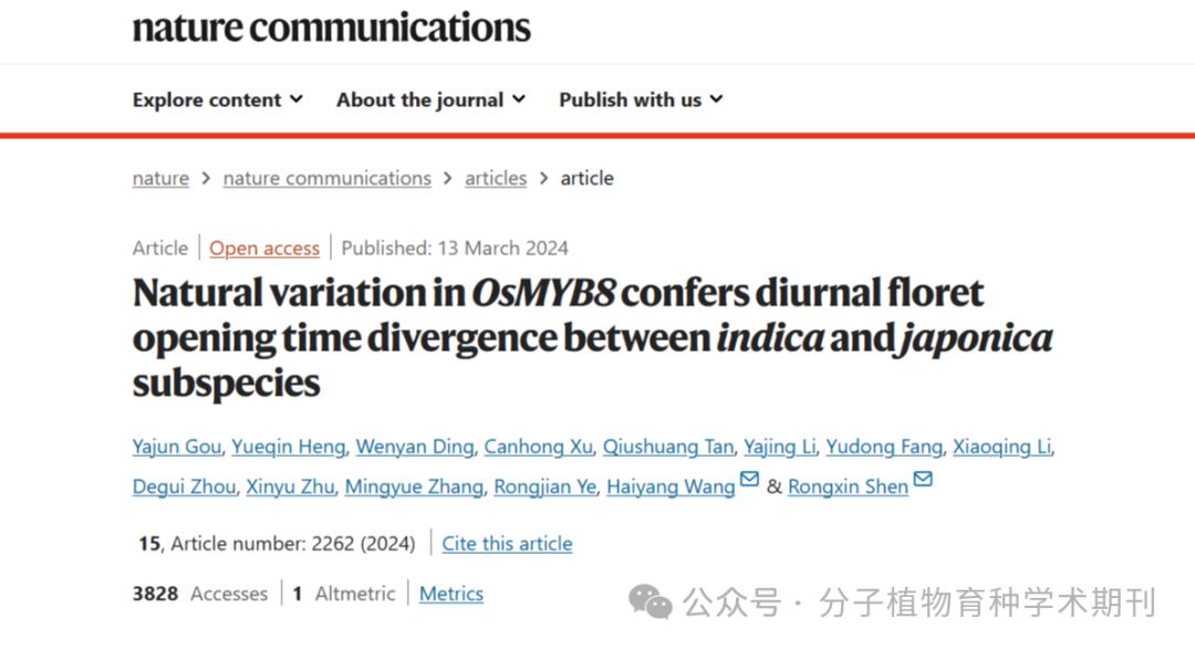 Recommended Reading: Genetic Regulation of Diurnal Flowering Time Differences in Rice: The Role of OsMYB8 and OsJAR1 Modules