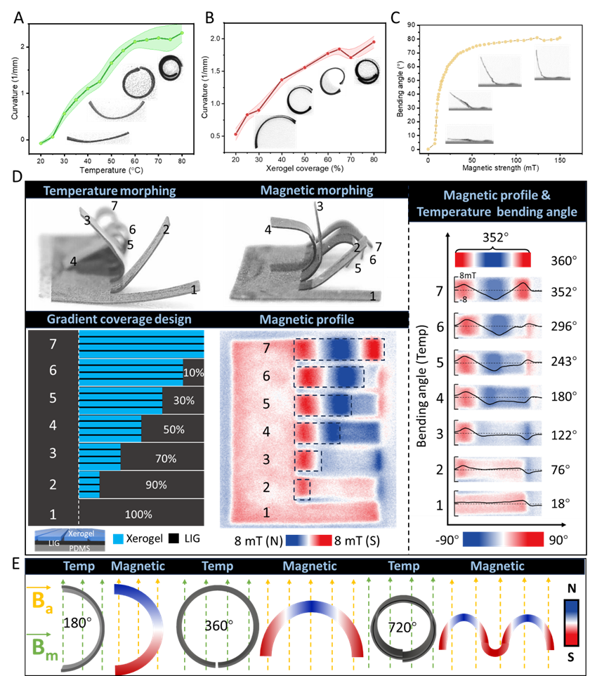 A New Paradigm for Programming Magnetic-Controlled Microrobots: A Joint Achievement by Xi'an Jiaotong University, City University of Hong Kong, and the Max Planck Institute Published in PNAS!