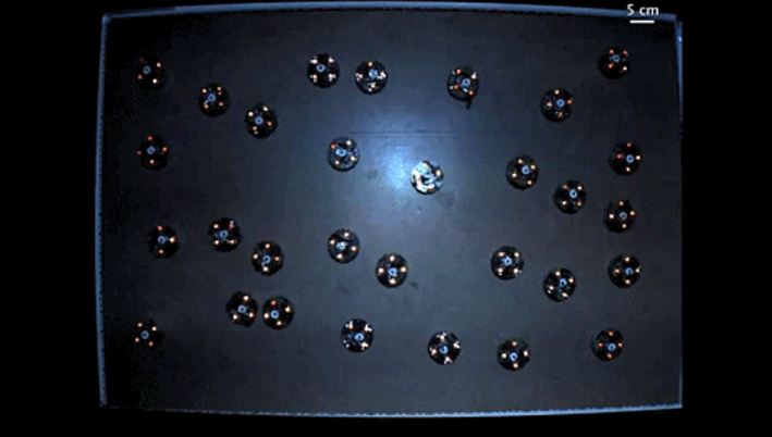 News | Micro Robots for Polymer Degradation; Electro-Controlled Adhesive Hydrogels for Climbing Robots; Georgia Tech's "Aggregated Particle Robots"