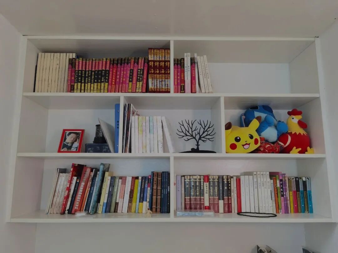 An Exciting Summer: Climbing Snowy Mountains, Learning Python, and Volunteering!