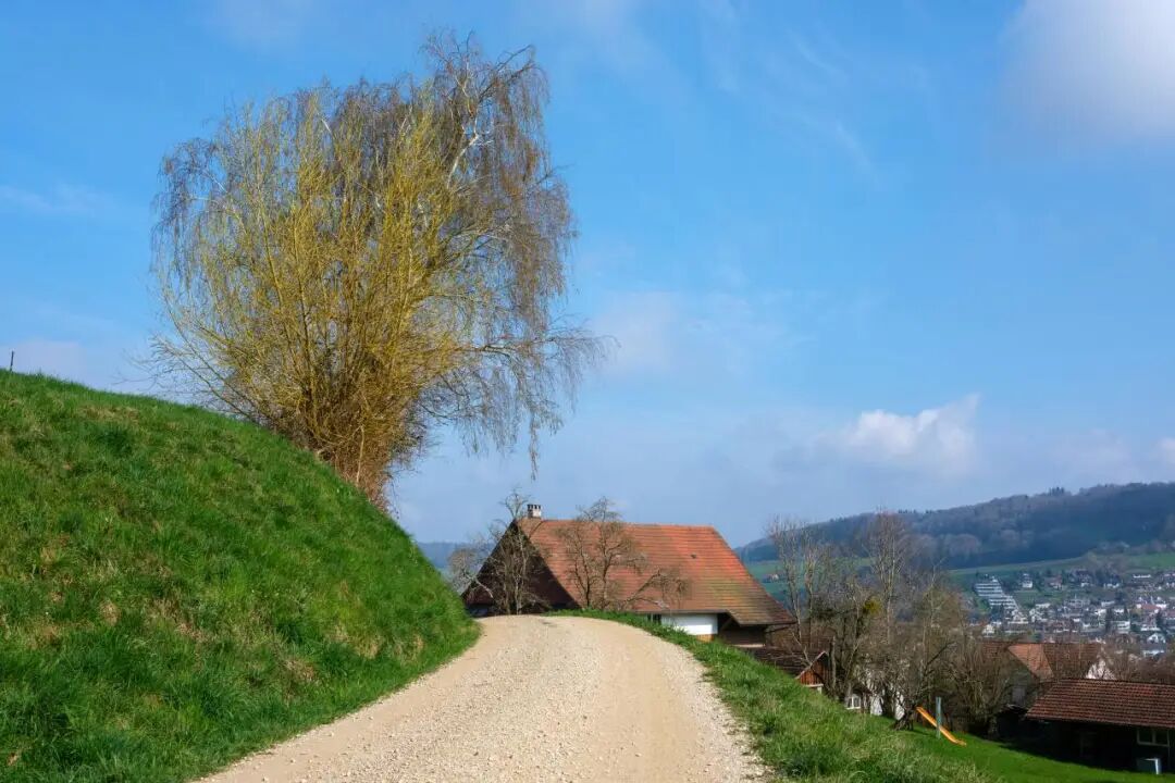 ICC Opinion: Is the Original Standby Letter of Credit Required When Making a Demand? R821(TA802rev)