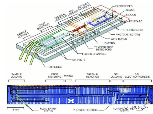 Principles of POCT Technology | Chemiluminescence, Biosensors, Microfluidics, Immunochromatography...