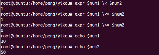 A Beginner's Guide to Shell Programming in Linux