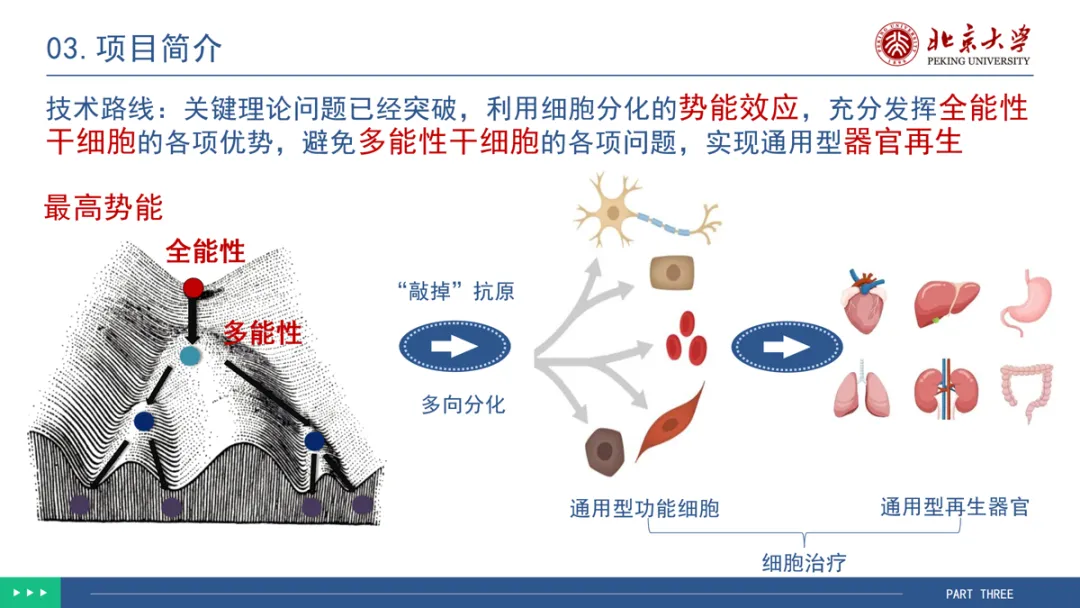From Chips to Ecosystems! Award-Winning Project Cases in Popular Competition Tracks