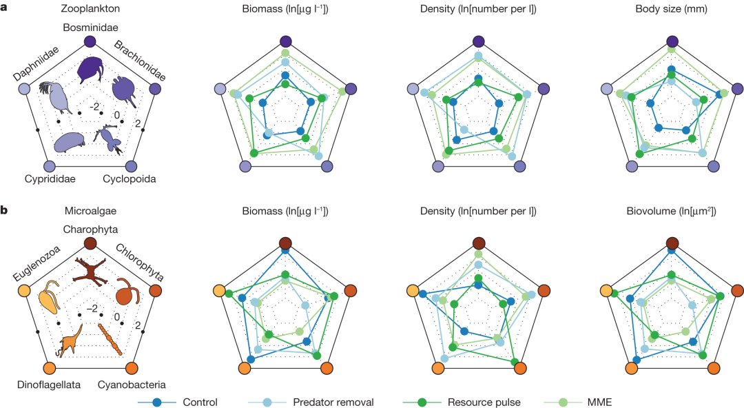 How to Use MATLAB to Retrieve All Illustrations from Nature (Including Images from 2023-2025)