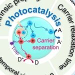 Transfer Dynamics of Photo-Generated Carriers in Catalysis